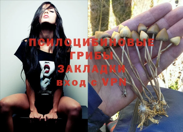 прущие крисы Алексеевка