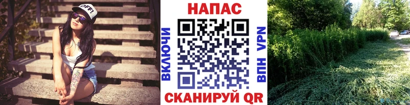 Купить  Строитель  Каннабис тримм 